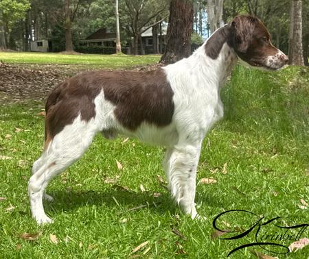 Click to view more details