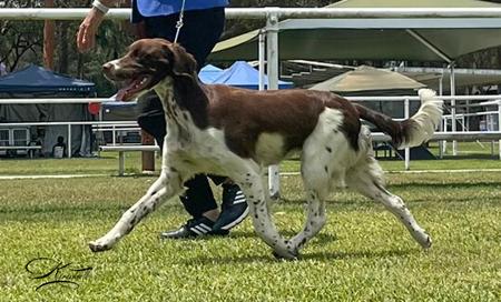 Click to view more details