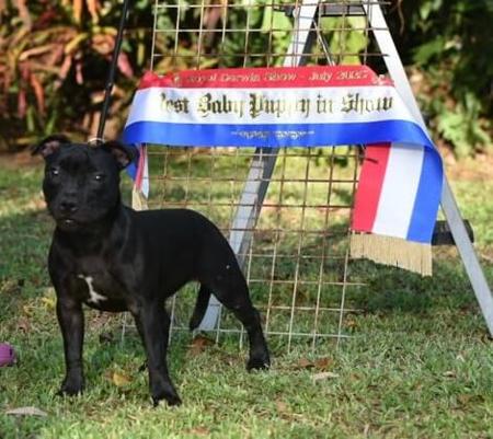 Click to view more details