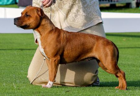 Click to view more details