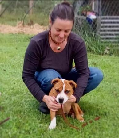 Staffordshire Bull Terrier for sale by TOFFEESTAFFS