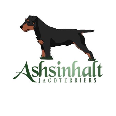 German Hunting Terrier for sale by GEORGINAROBERTS