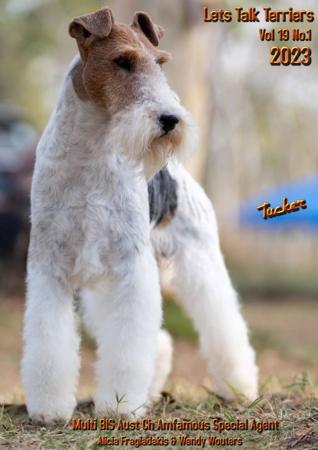 Fox Terrier (Wire) for sale by OHARNA