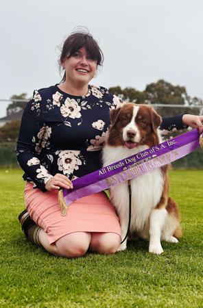 Australian Shepherd for sale by SWIFTWINDS