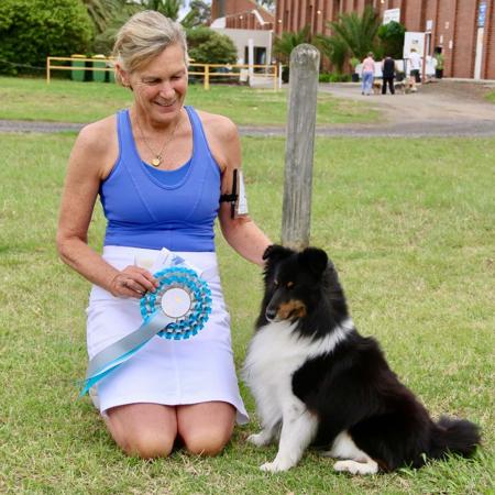 Shetland Sheepdog for sale by RAYANDA