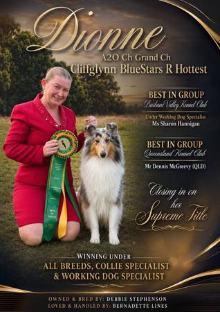 BISS BIS RBIS Aust Grand Ch A2O Ch Cliffglynn Bluestars R Hottest N.SPRD Collie (Rough)