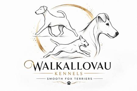 Fox Terrier (Smooth) for sale by WALKALLOVAU