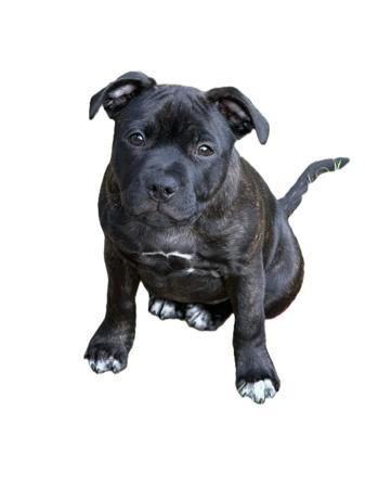 Click to view more details