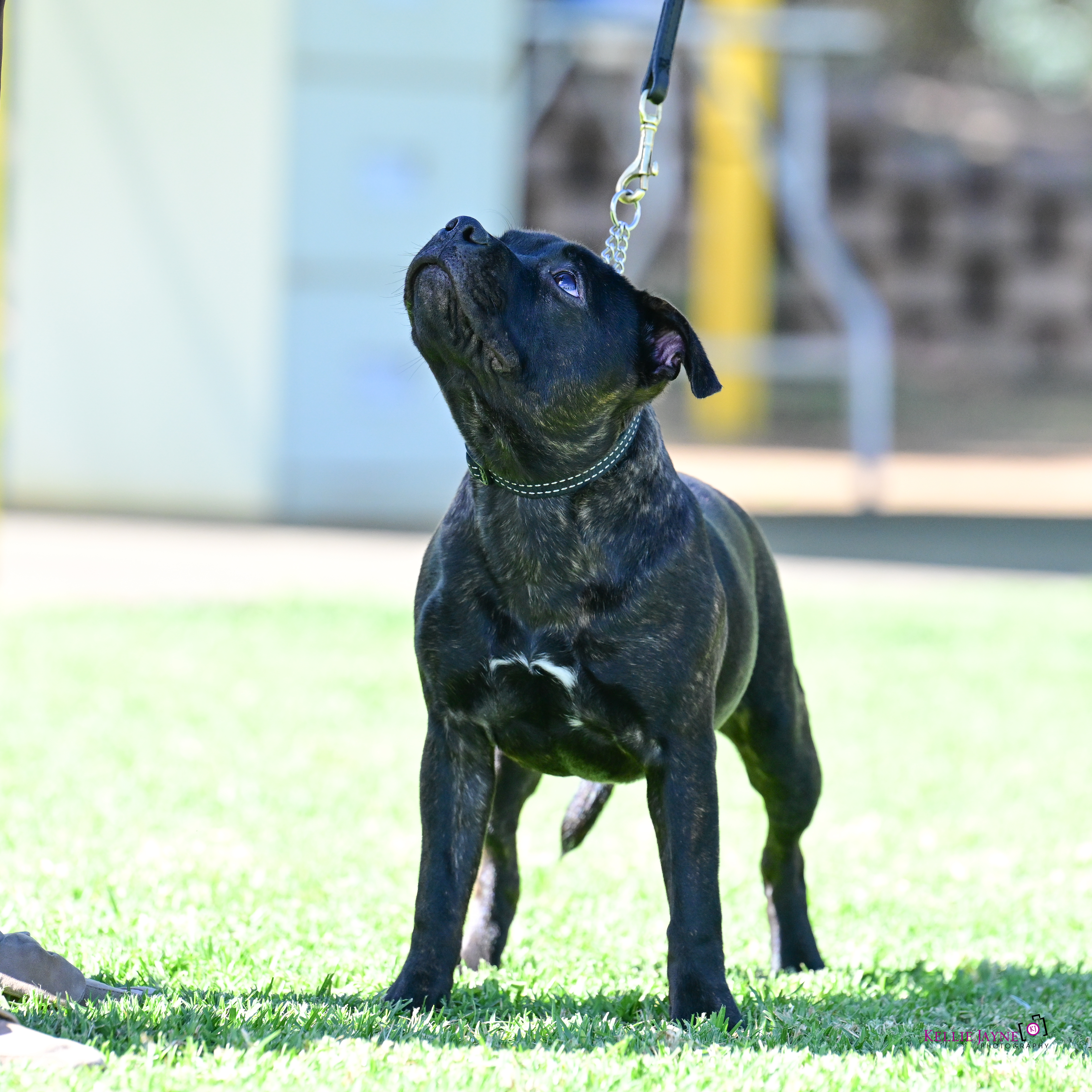 Click to view more details