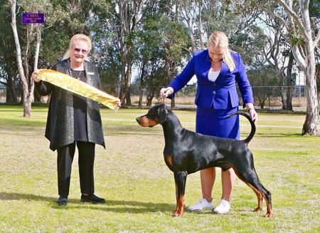 Click to view more details