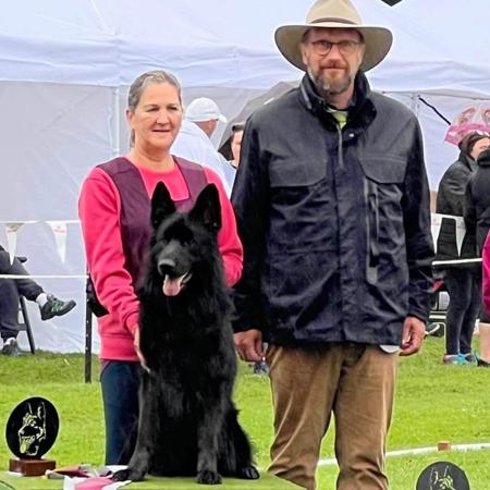 German Shepherd Dog (Long Stock Coat) for sale by ZABENZAH