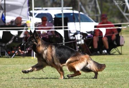 Click to view more details