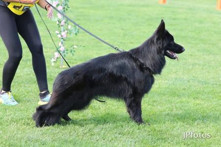 Click to view more details