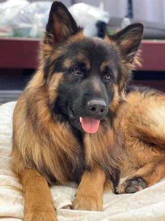 Click to view more details