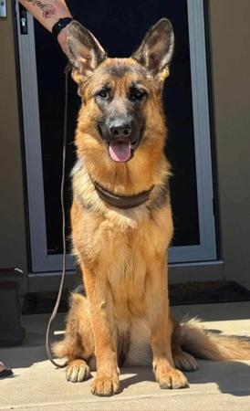 Click to view more details