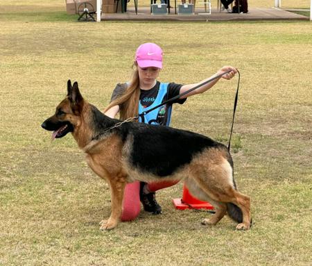 Click to view more details