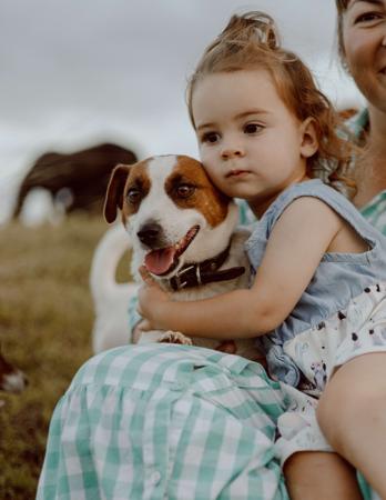 Jack Russell Terrier for sale by TUBBERCURRIE