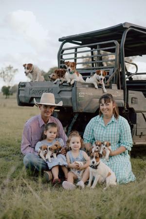 Jack Russell Terrier for sale by TUBBERCURRIE