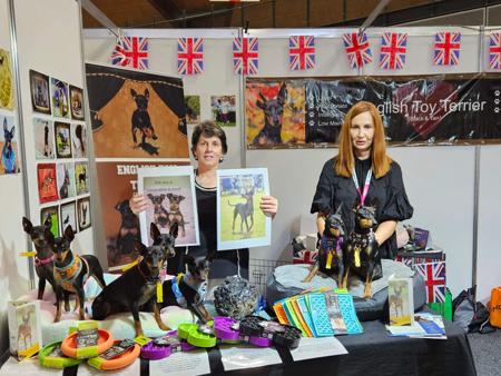 English Toy Terrier (Black and Tan) for sale by HUNTERVAL