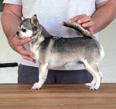 Click to view more details