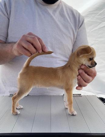 Click to view more details