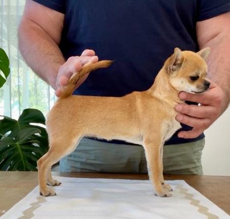 Click to view more details