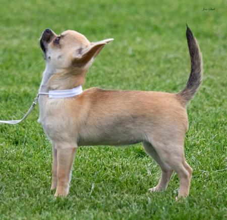 Click to view more details