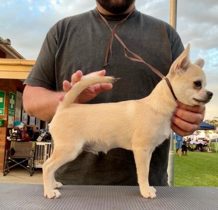 Click to view more details