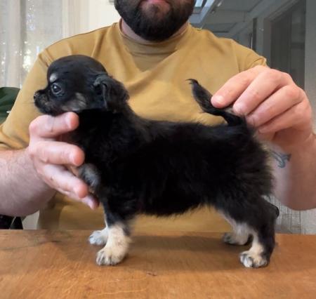 Click to view more details