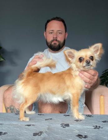 Click to view more details