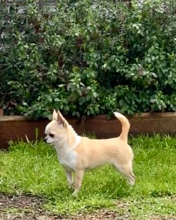 Click to view more details