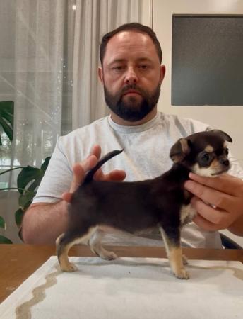 Click to view more details