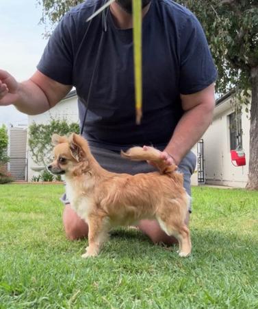 Click to view more details