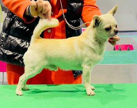 Click to view more details