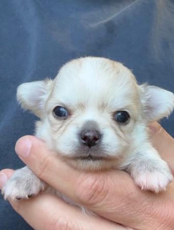 Click to view more details