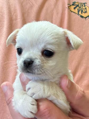 Click to view more details