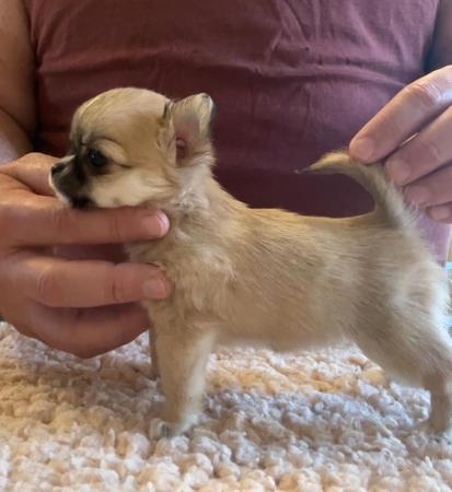 Click to view more details