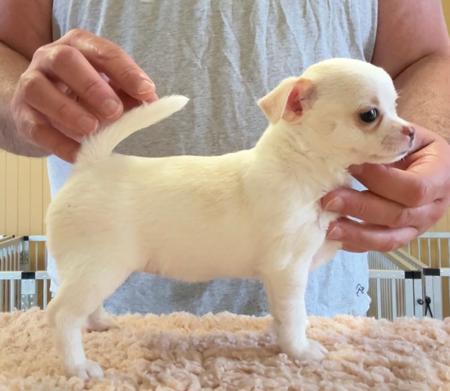 Click to view more details