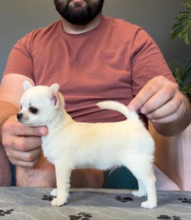 Click to view more details