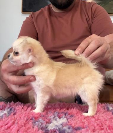 Click to view more details