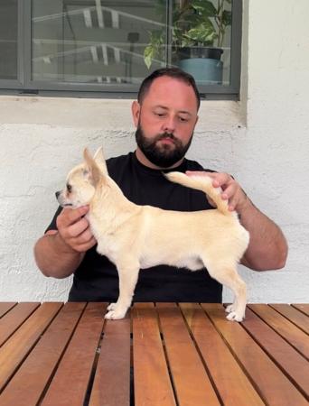 Click to view more details