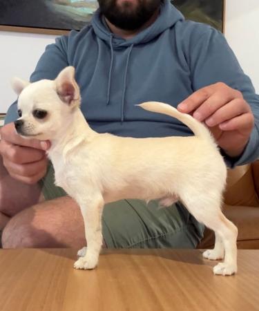 Click to view more details