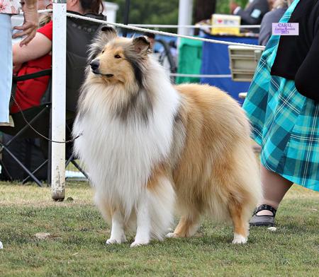 Click to view more details