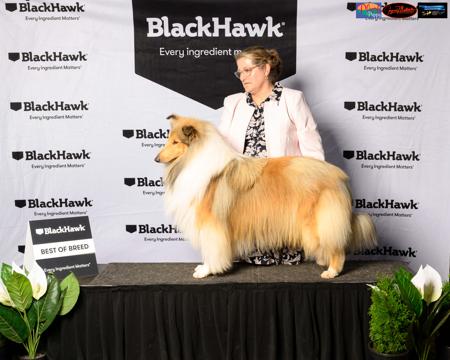 Click to view more details