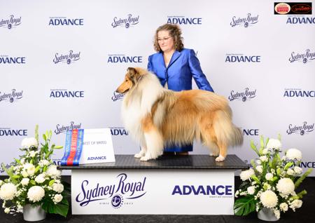 Click to view more details