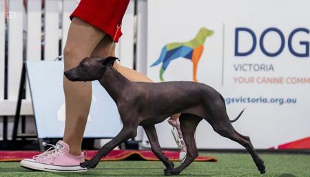 Click to view more details