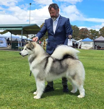 Click to view more details