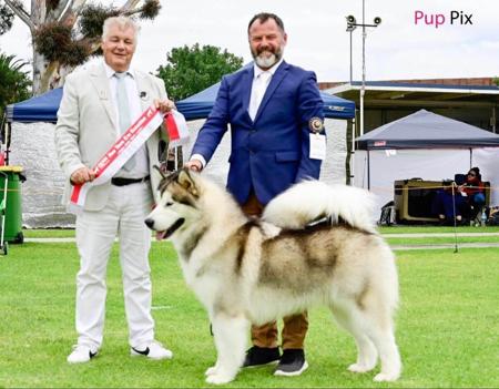 Click to view more details