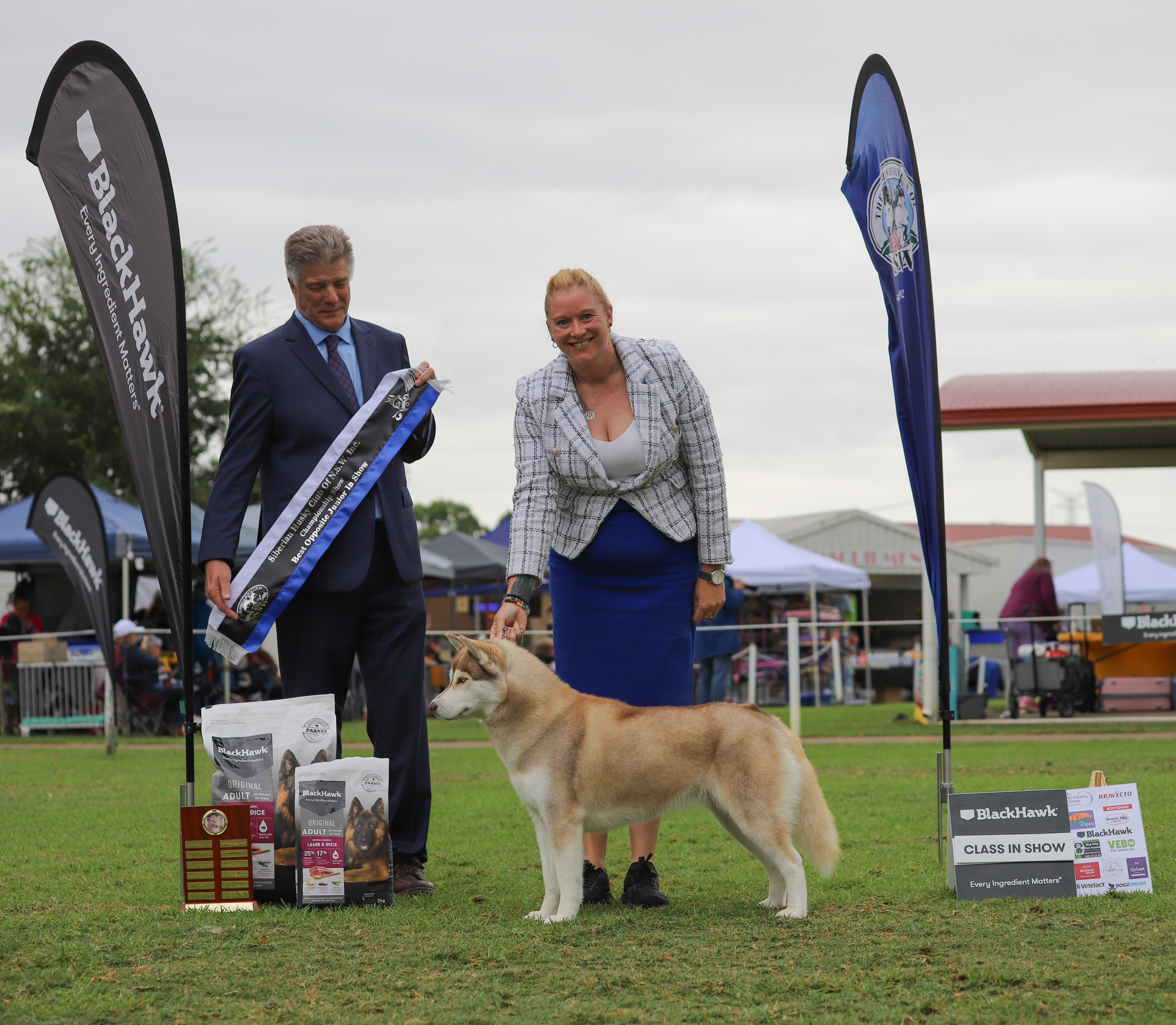 Siberian Husky for sale by NIGHTVIZN