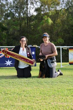 Click to view more details